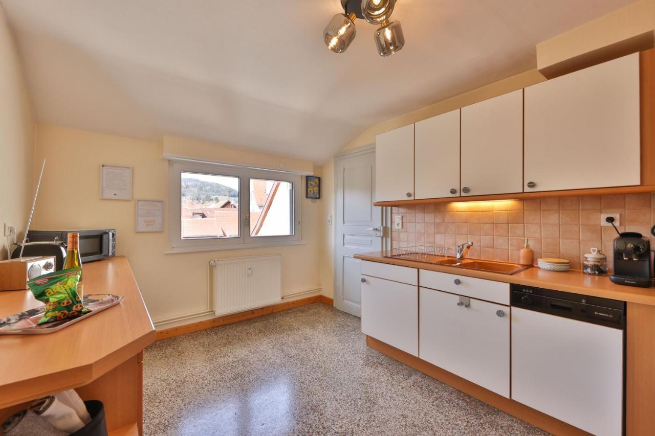 Le Moderne Vintage Hyper Centre,3 Chambres, Neuf Au Calme, 3 Etoiles Munster  Esterno foto